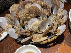 蒸扇贝-前海沿·青岛菜(大拇指广场石老人店)