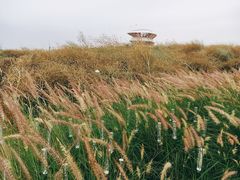 -光明小镇欢乐田园