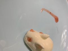 -大龙燚火锅