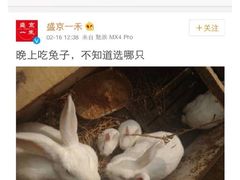 盛京一禾-盛京一禾