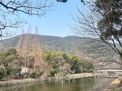 -兰亭风景区