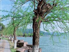 -东钱湖小普陀景区