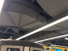 -超鹿运动(大唐世家店)