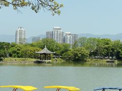 -江心屿景区