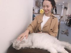-猫友咖啡店(玉林西路店)