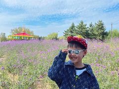 -羊亭河湿地公园