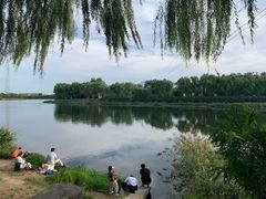 -亲兄弟真人CS团建拓展基地