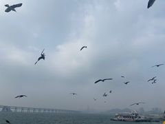 -星海广场