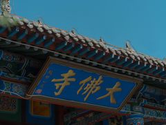 -张掖大佛寺景区