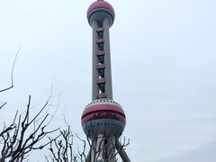 -BUS TOUR观光巴士
