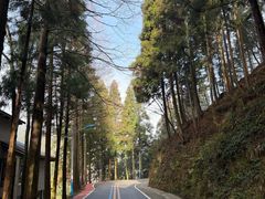 -大围山国家森林公园