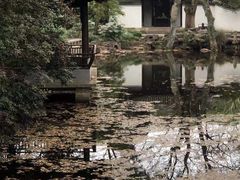 -秋霞圃