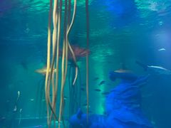 -沈阳海洋探索中心