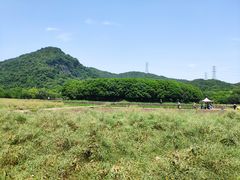 -八卦田遗址公园