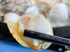 -顺德哥卜卜贝(旗舰店)