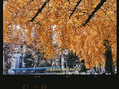 -四川大学(望江校区)