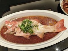 -新雅粤菜馆(南京东路店)