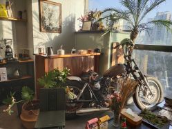 -極致刺青TATTOO STUDIO 私人订制
