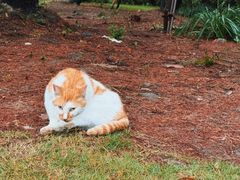 -华东政法大学(松江校区)