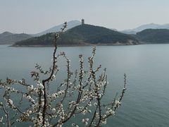 -望湖烤鱼