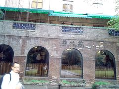 -中山大学学者灵芝(园南路店)