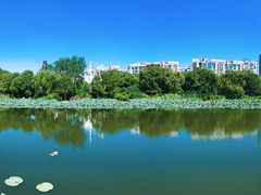 -新江湾城公园