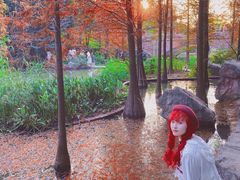-云溪植物园