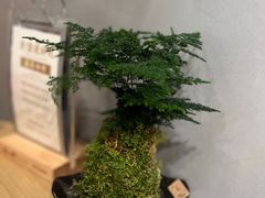 -本处·素食·融合料理(南油店)