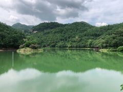 -广州白江湖森林公园