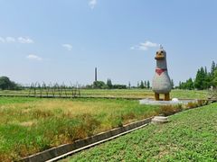 -观桥阁(锦溪店)