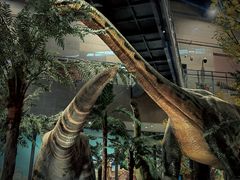 -湖南省地质博物馆