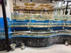 -四海蒸鲜蒸汽海鲜自助(北戴河店)