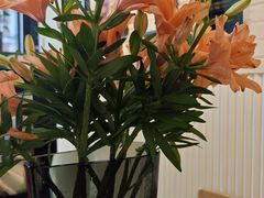 -Dal Cuore 达可芮冰淇淋(陕西北路店)