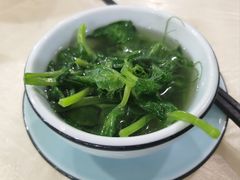 -东吴霸王兔(松青路店)