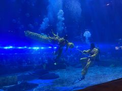 -华夏文旅海洋公园