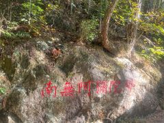 -天目山-昭明禅寺