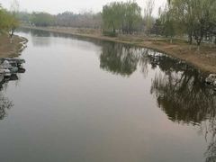 -大兴滨河森林公园