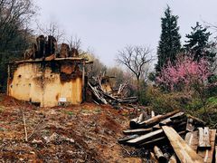 -秦岭风景区