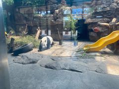 -石家庄市动物园