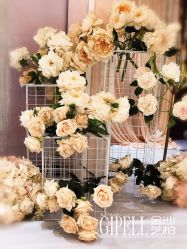 -保定金沙芝柏婚礼策划