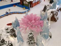-湘江欢乐城欢乐雪域