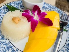 -卷心菜和避孕套餐厅(Pattaya)