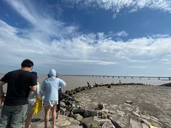 -南汇嘴观海公园