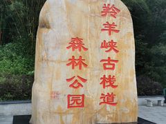 -羚羊峡古栈道森林公园