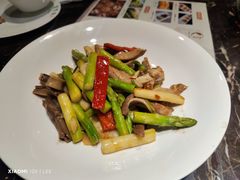 黄皮酱炒肚条-翠香阁潮州菜馆·始于1994(珠江路店)