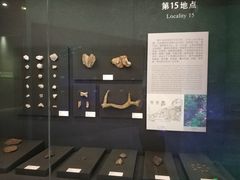 -北京周口店北京人遗址博物馆