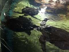 -福州罗源湾海洋世界旅游区