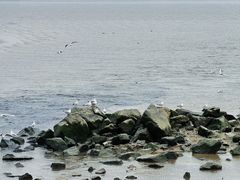 -深圳湾公园(南山区)