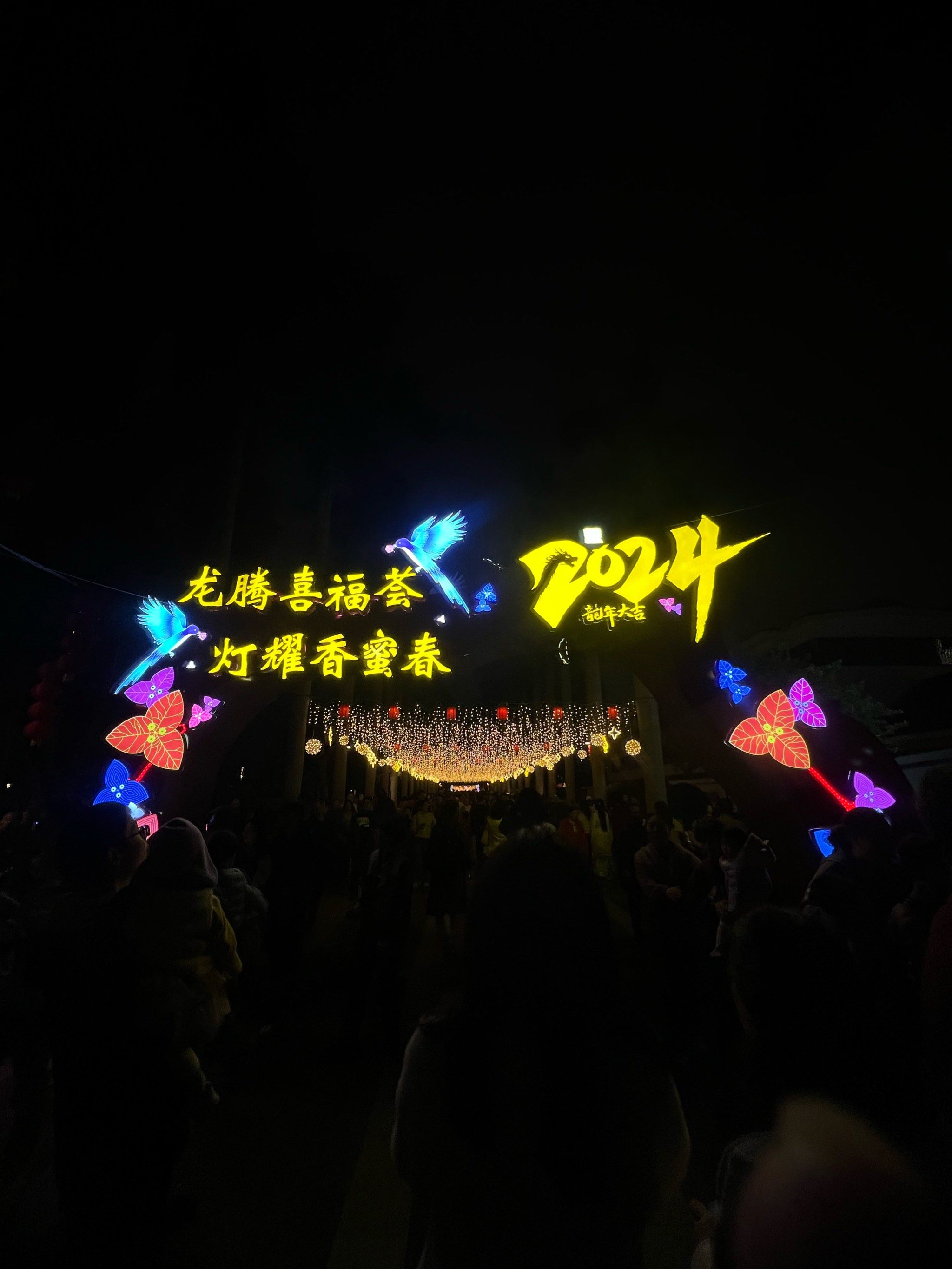 来香蜜公园赏灯