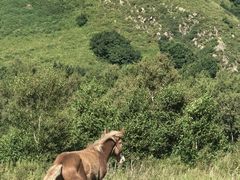 -灵山